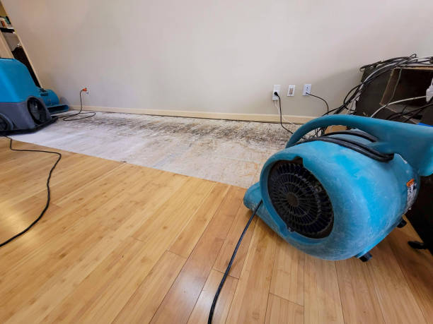 Professional Structural Drying technician working in Elkton, VA